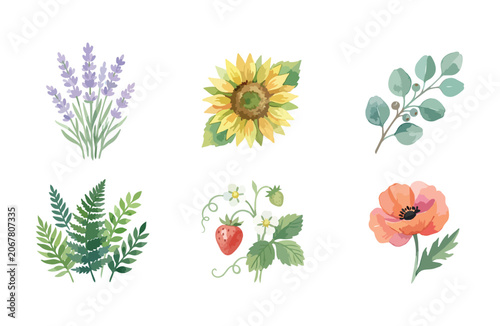 Watercolor summer plant icons set isolated on white background