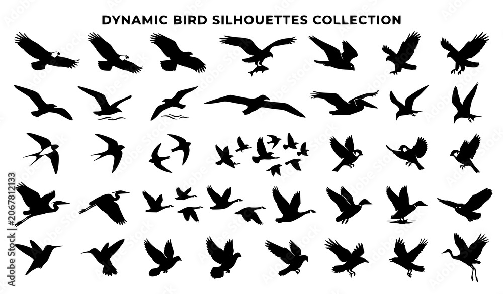 Fototapeta premium Dynamic Bird Silhouettes Collection Vector Set Featuring Flying Eagles Seagulls Herons Swallows and Pigeons for Nature Freedom Wildlife and Logo Graphic Designs