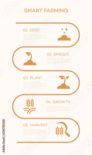 Detailed smart farming process infographic illustrating steps 01, 02, 03, 04, 05 from seed to harvest, featuring modern icons and a clean design.
