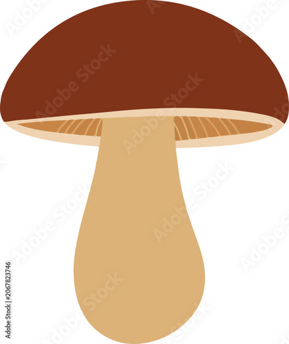 Brown Mushroom Isolated on White Background