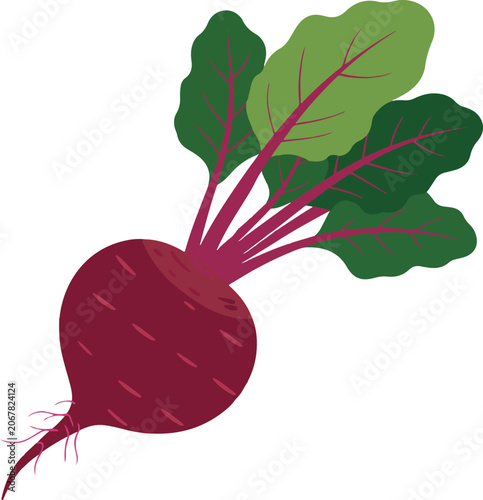 Beetroot with Green Leaves on White Background