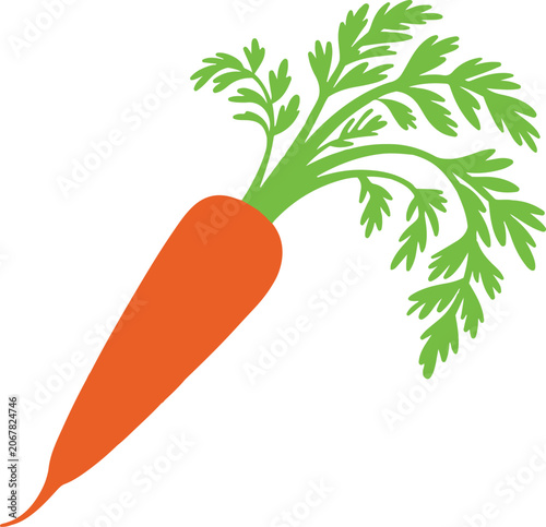 Orange Carrot with Green Leaves on White Background