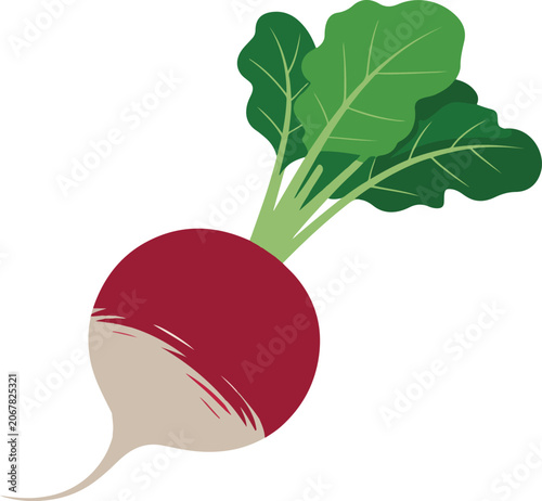 Red Beetroot with Green Leaves Isolated on White