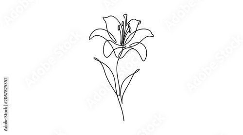 Minimalist single line drawing of a blooming lily flower with leaves.