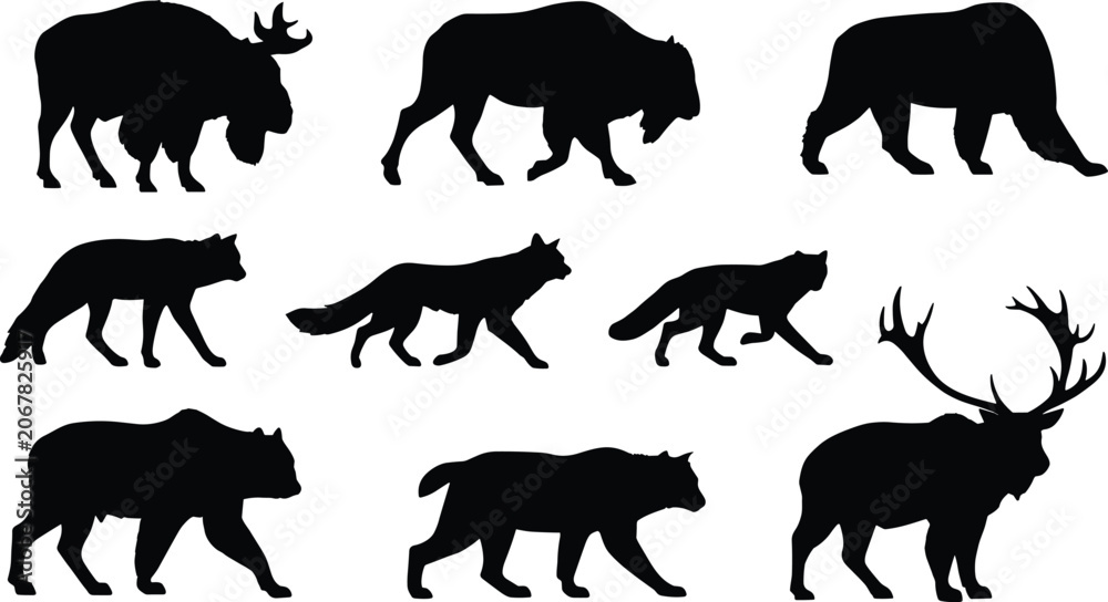 Fototapeta premium Vector silhouettes of wild forest animals including moose wolf bear fox and lynx on white background