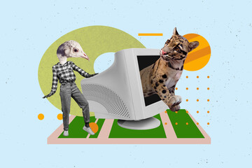 Composite trendy magazine photo collage of anonym girl guy instead head bird mask tiger animal peek pc monitor savanna zoo