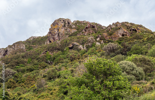 Typical mountainous landscape of Sardinia, Italy, characterized by volcanic rocks, rugged terrain, and dense Mediterranean vegetation.