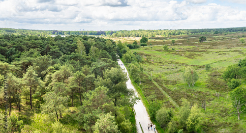 Panoramic view of Kalmthoutse Heide landscape in Belgium