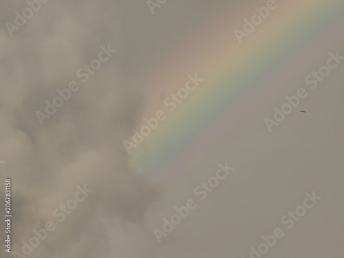 Vivid Rainbow Band Against Overcast Sky with Distant Bird