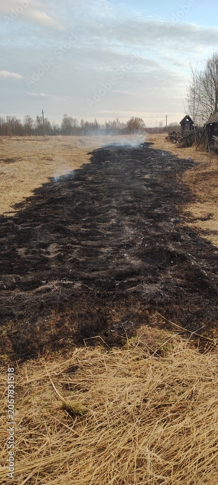 Fototapeta premium Scorched Earth Field Aftermath showing a long black trail left by a grass fire. Use for ecological damage studies, agricultural recovery blogs, and climate change graphics.