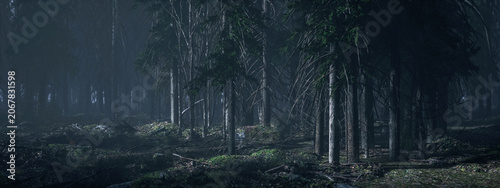 Dark misty eerie forest with fir trees. 3D rendered image.