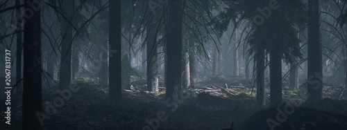 Dark misty eerie forest with fir trees. 3D rendered image.