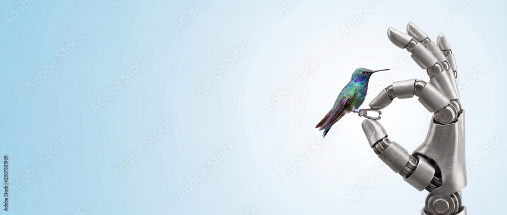 Fototapeta premium Colorful hummingbird sitting on an okay gesture sign made by a robotic hand