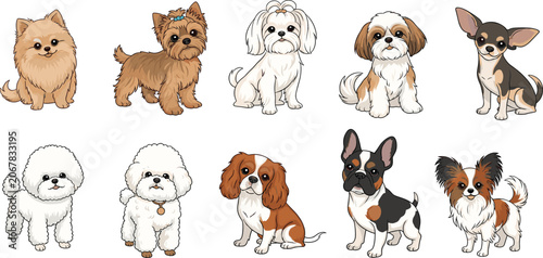 Obraz na plátně Cute Small Dog Breeds Vector Icon Set Featuring Pomeranian, Chihuahua, Bulldog,