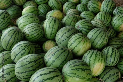 pile of watermelons at a fruit stall. watermelon harvest.