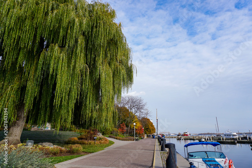 Photography downtown toronto by the water