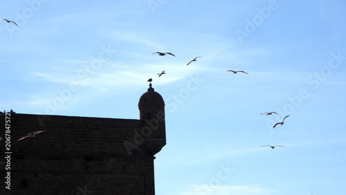 Silhouette of a guard tower in the fortifications at the port in Essaouira, Morocco, with a flock of birds flying above
