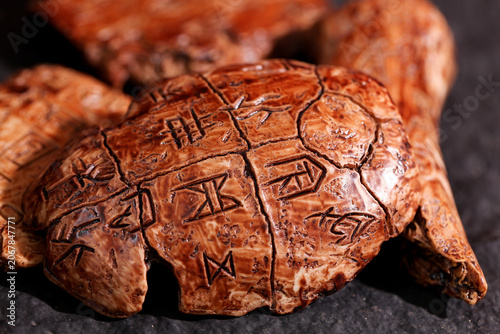 Obraz na płótnie Ancient Shang Dynasty Oracle Bones with Chinese Characters Archaeological Herita