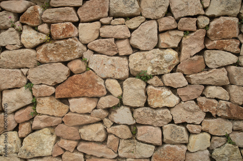 Pink stone wall with plants closeup
