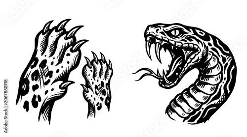 Foto Aggressive Snake vs. Predatory Claws