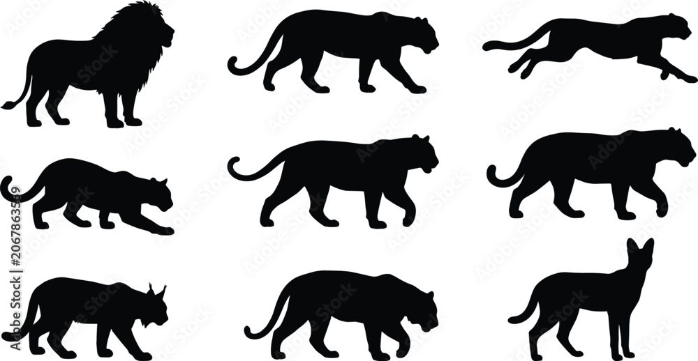 Obraz premium Big Cat Wildlife Silhouette Collection Featuring Lion Panther Lynx and Wild Feline