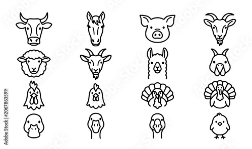 Schilderij op canvas Farm animal heads vector icon set with flat line barnyard cow pig rooster and bi