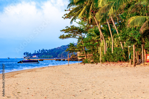 A beach among coconut trees and vegetation on Ilhabela Island, off the north coast of Sao Paulo.