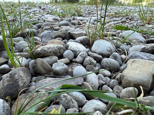 stones and grass