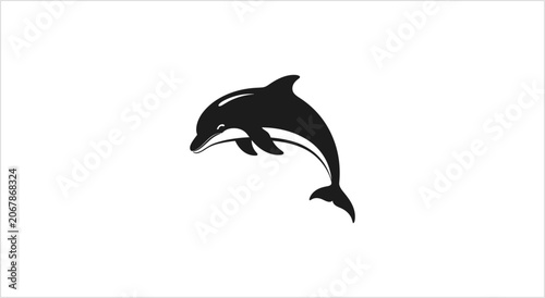 Fotografija Silhouette of a leaping dolphin in mid-air.