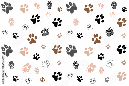 Photos Animal Paw Prints Pattern With Varied Tones And Shades