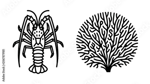 Photos Lobster and Coral Line Art Icons