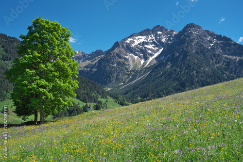 Grosser Widderstein, Kleinwalsertal