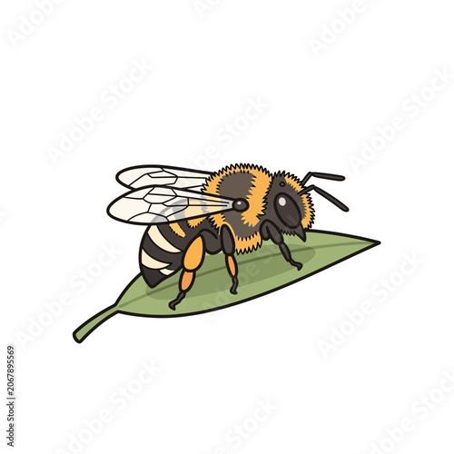 A striped bee resting on a green leaf