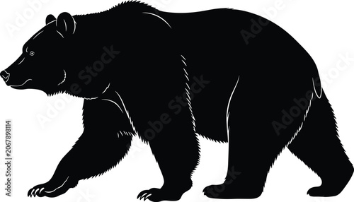 Fotografía Powerful grizzly bear silhouette featuring detailed fur texture and walking pose