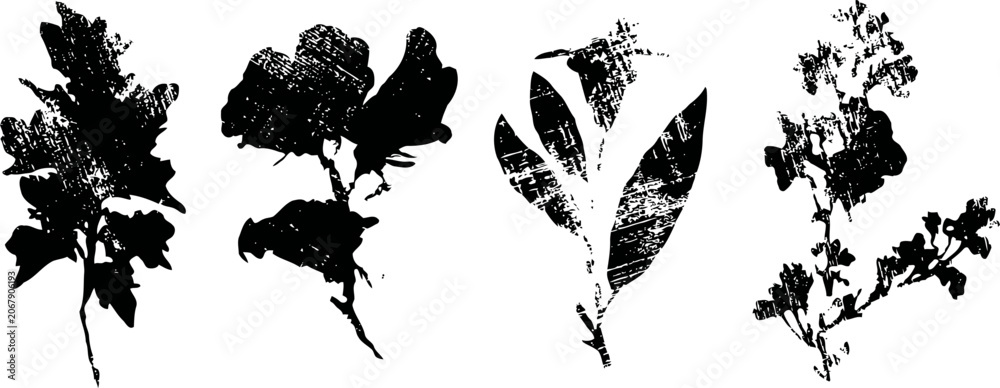 Fototapeta premium black silhouette set of wild herbs and leafy branches isolated on white background