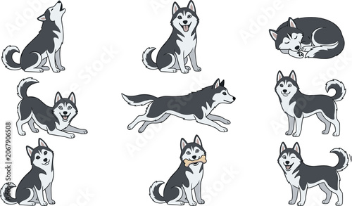 Tableau sur toile Cute Siberian Husky Dog Character Vector Illustration Set with Running, Howling,