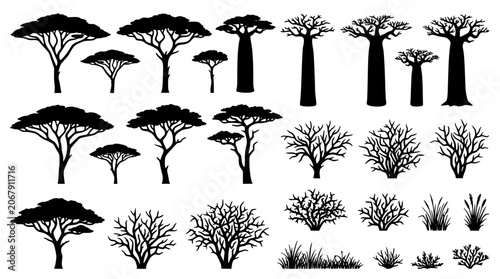 Foto Large collection of African safari tree silhouettes featuring baobab acacia and