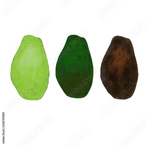 Illustration of three avocados displaying the natural lifecycle and ripening stages from light green unripe, medium green ripe, to dark brown overripe, isolated ag