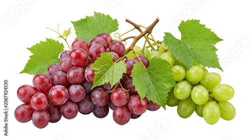 Photos Red and green grapes with leaves on vine isolated on transparent background for fresh fruit design work