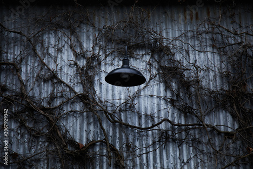 Spooky black lamp surrounded by creeping vines