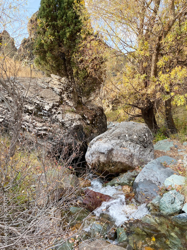 a small stream flowing through trees and rocks