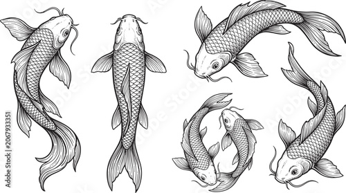 Japanese koi fish vector illustration set with detailed line art drawings for tattoo designs and traditional coloring pages