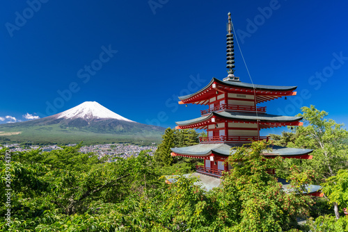富士山と新緑が美しい新倉浅間公園の眺望
