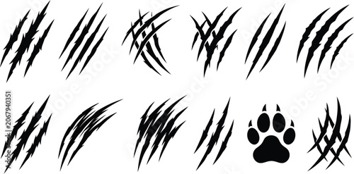 Obraz na plátně Monster Claw Scratch Marks and Animal Paw Print Vector Set.eps