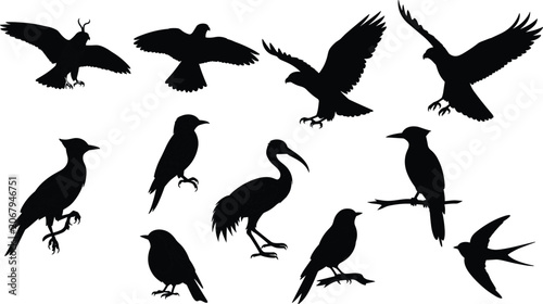 Collection of diverse flying and perched wild bird silhouettes including eagle hawk ibis and swallow vector illustration