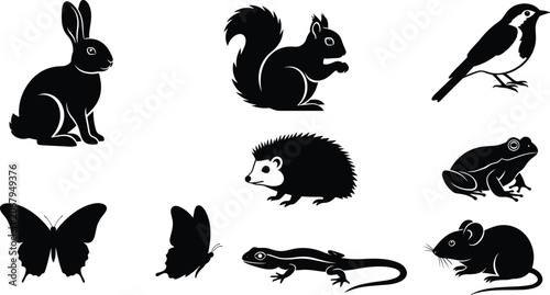 Photography Set of woodland animal silhouettes featuring rabbit squirrel bird hedgehog frog