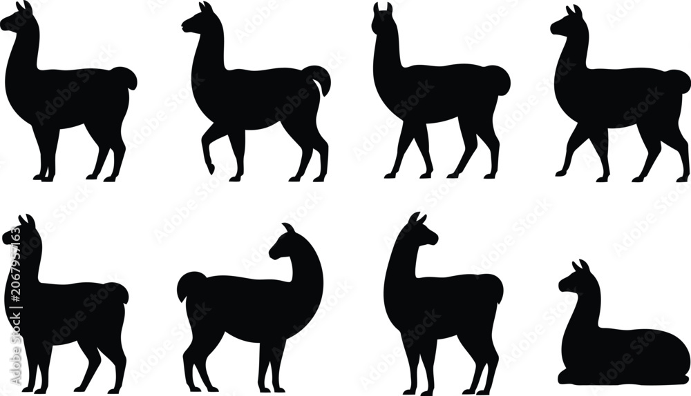 Fototapeta premium Set of black llama silhouettes in various standing and sitting poses for creative design