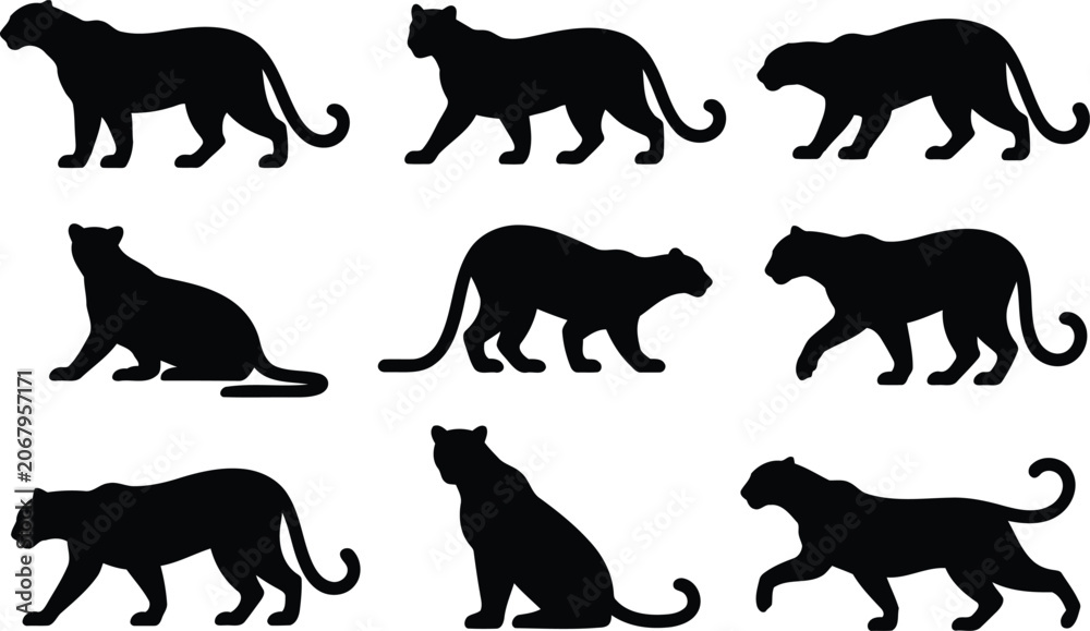 Fototapeta premium Set of black panther silhouettes in various walking and sitting poses for animal design