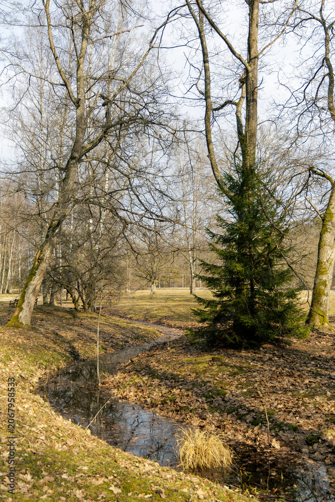 Obraz premium Scenic River In Public Park During Springtime