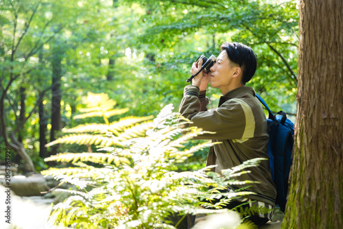Young man birdwatching with binoculars in a sunlit forest